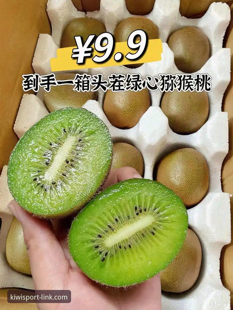 奇异果体育官方版推荐 奇异果体育官方版推荐:从下载到实战的完整操作教程